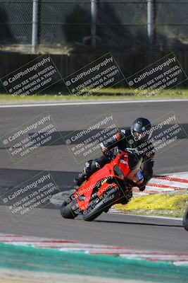 media/Mar-17-2024-Fastrack Riders (Sun) [[c7d6f8c14c]]/Level 2/Turn 6/